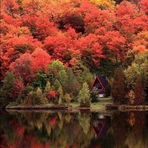 Meet your Posher, Anne so